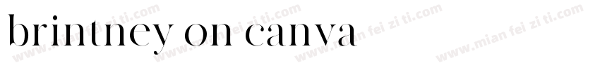 brintney on canva字体转换